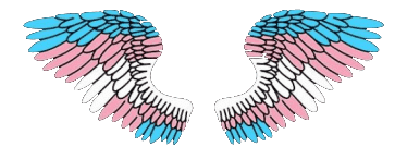 MPJ Guardian Angel Program